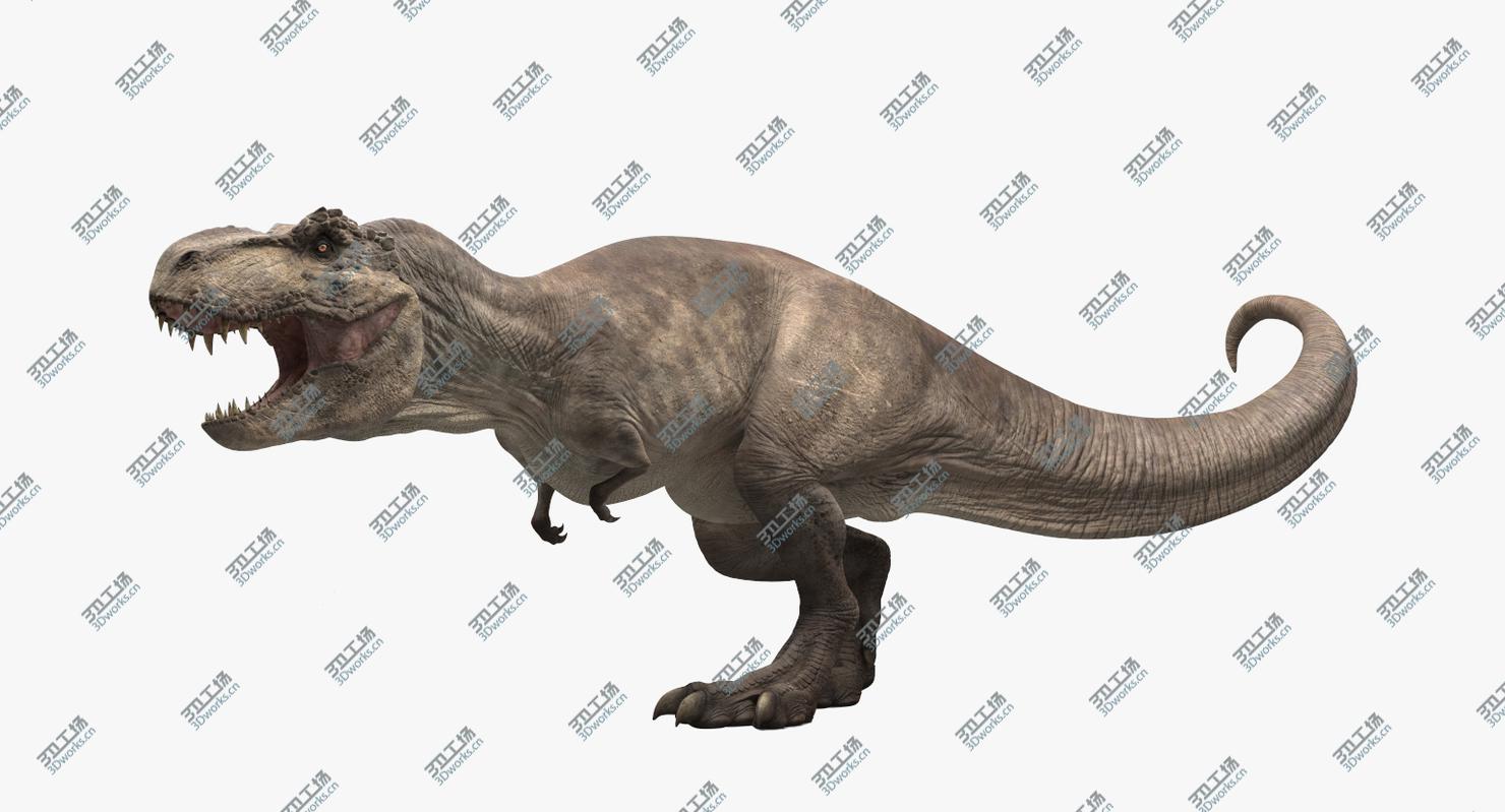 images/goods_img/20210113/Tyrannosaurus Rex Animated 3D model/2.jpg